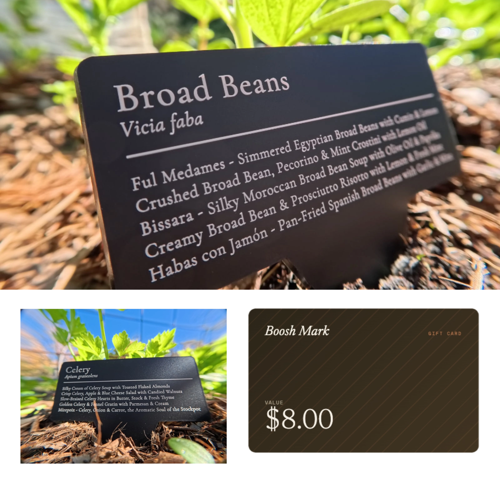 Boosh Mark engraved plant sign in a garden bed, with an $8 Boosh Mark gift card