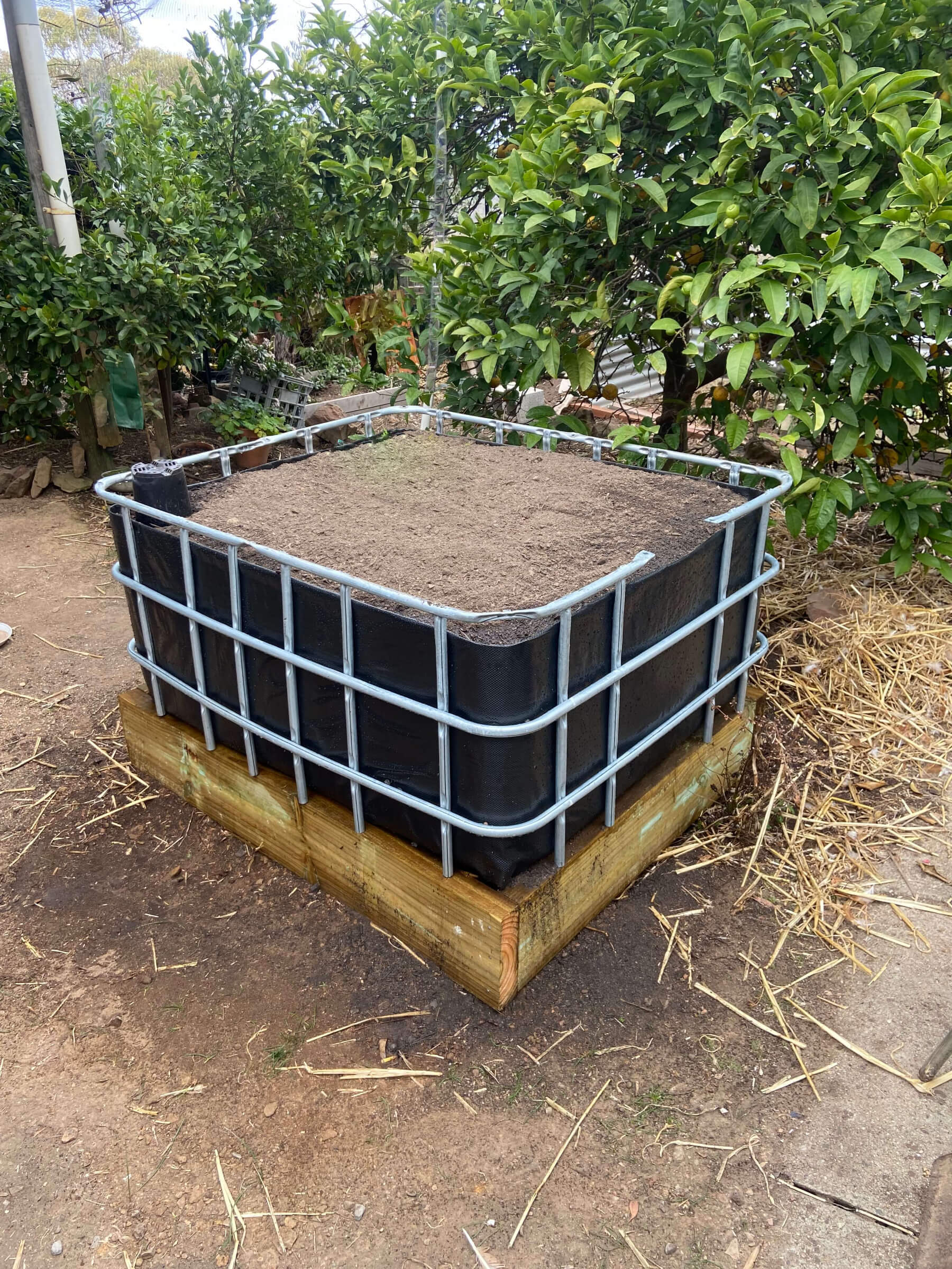 IBC vegetable wicking bed ready for Spring