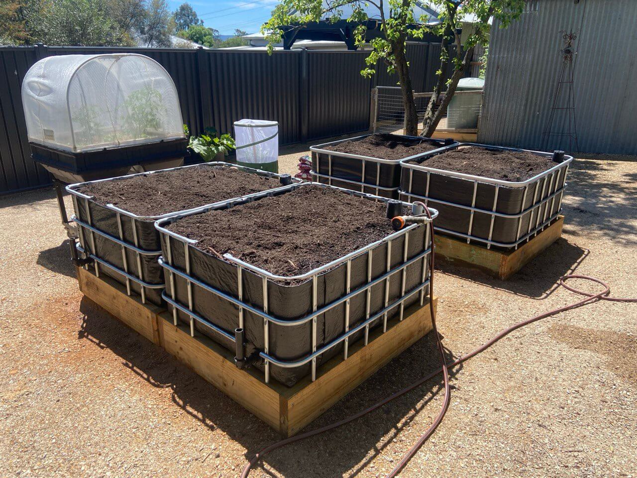 These four Farmer Phil IBC vegetable wicking beds look so good
