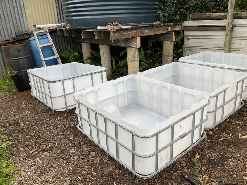 Empty IBC wicking beds