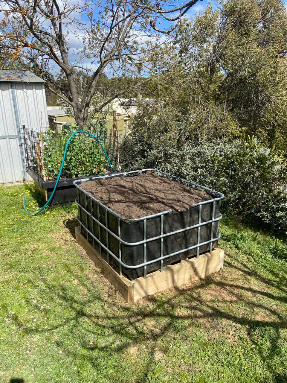 Keeping the Biofilta wicking bed company!