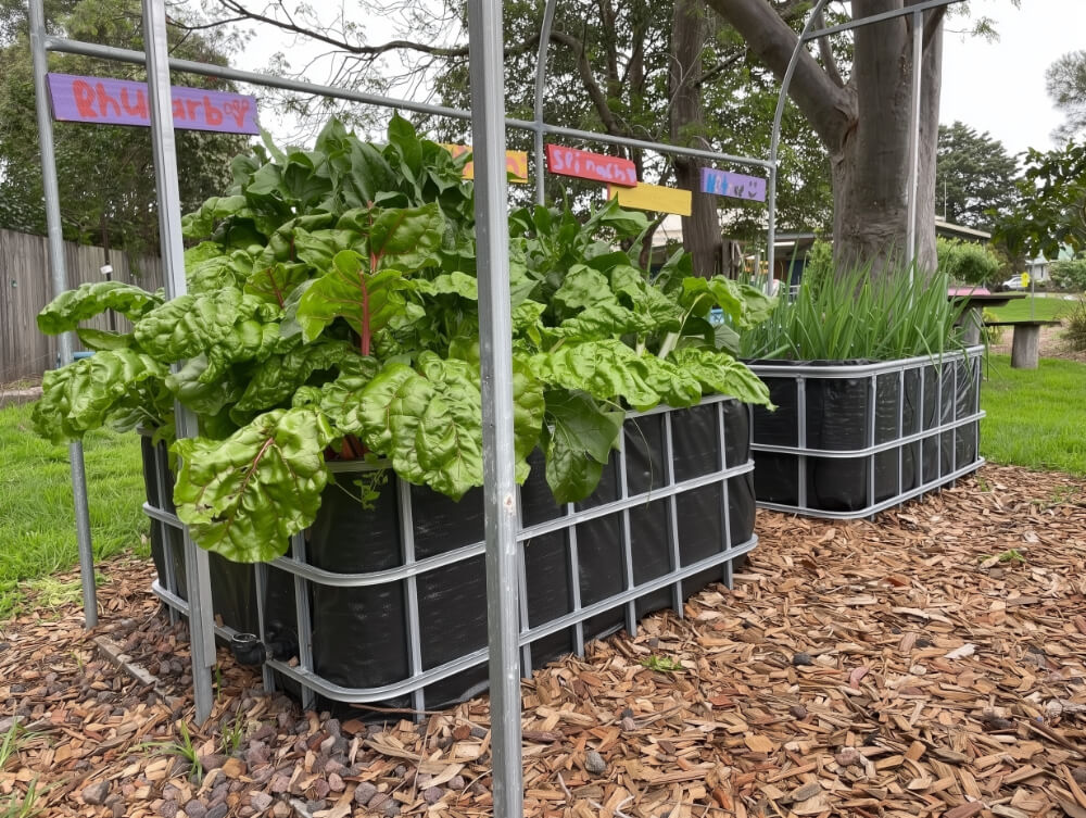 Our IBC wicking beds at a school
