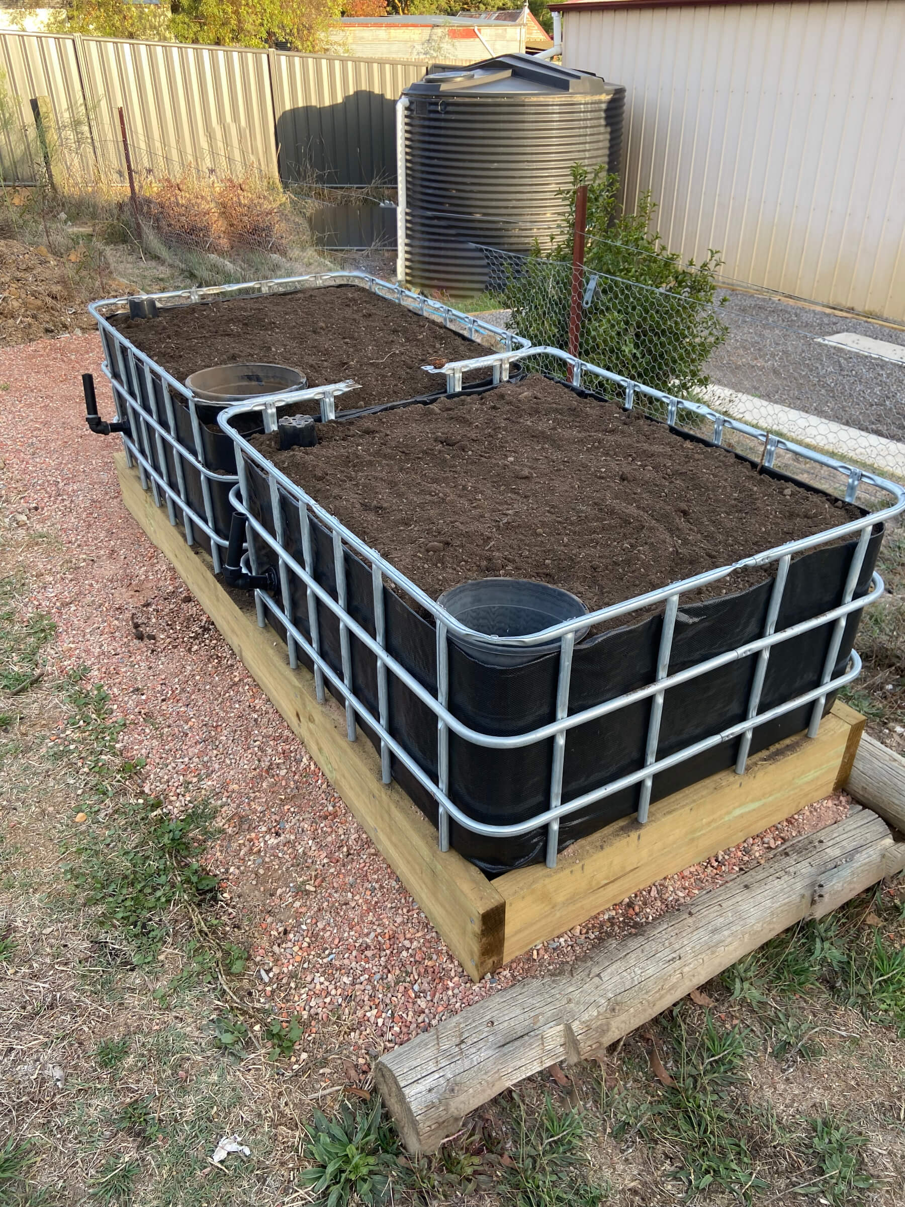 IBC wicking beds with inbuilt worm farm